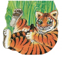 Cover image for Pocket Tiger