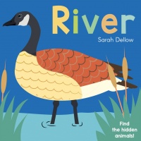 Cover image for Now you See It! River