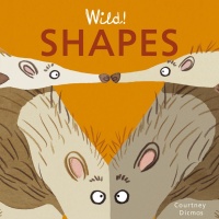 Cover image for Shapes