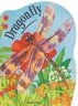 Cover image for Dragonfly